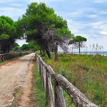 Recently Built Flat With Swimming Pool And Balcony Apartment Bibione